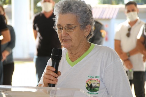 mercadomunicipal7.jpg